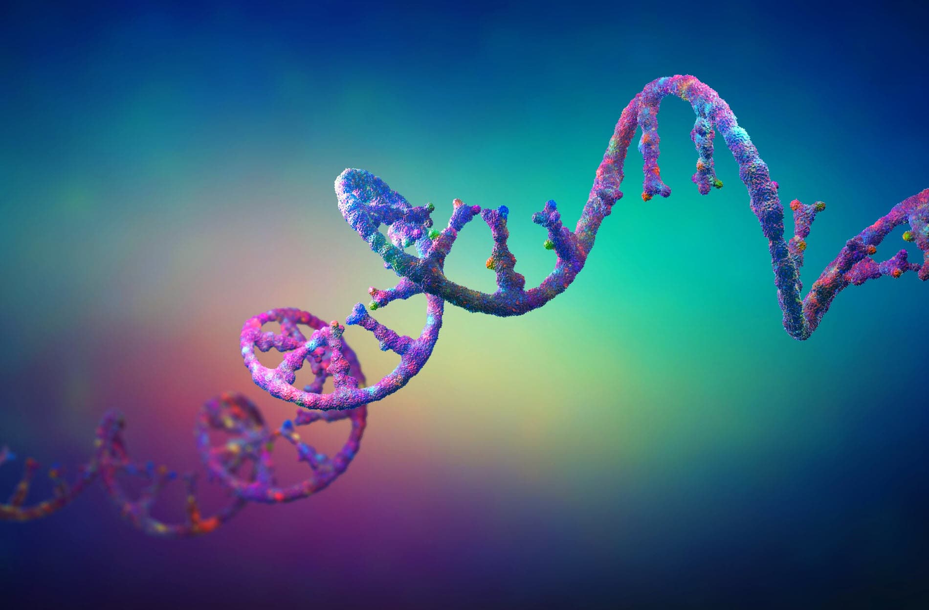 Bioengineering Entrepreneur Earns Biocom Catalyst Award