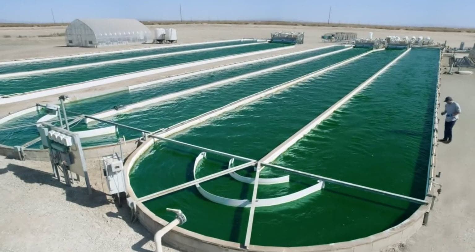 Biotech Innovator Mitigating Climate Change Secures State Grant