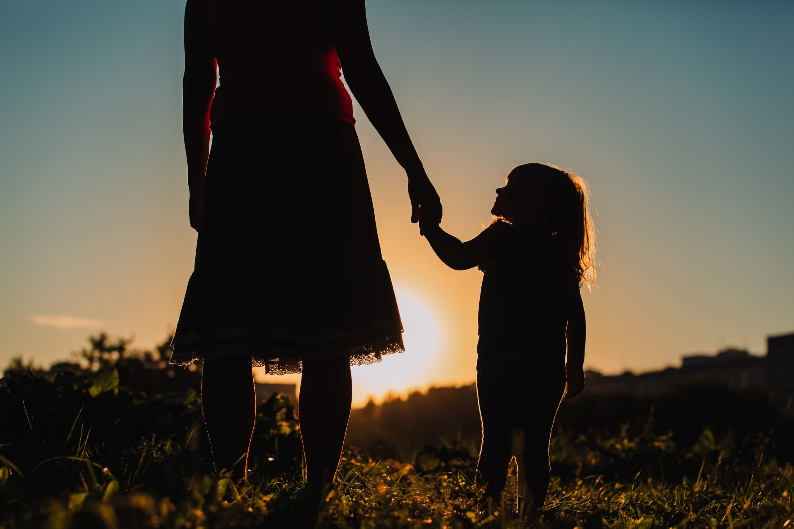 Family Law