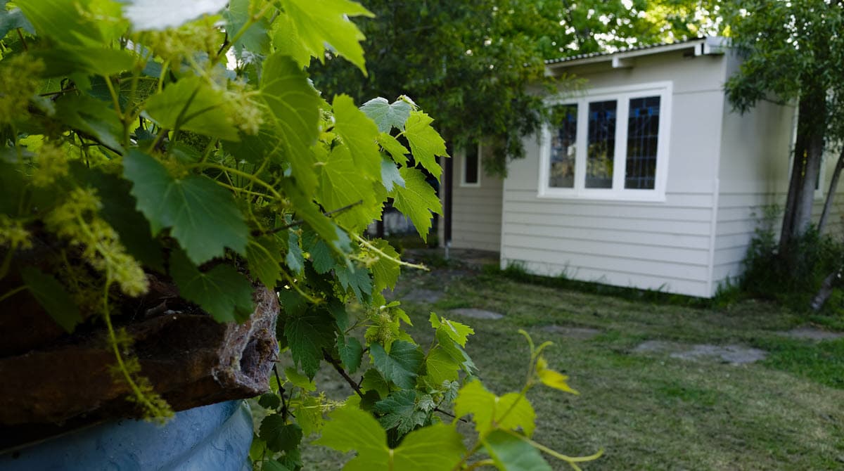 City of San Diego Continues to Expand Zoning Flexibility for Granny Flats