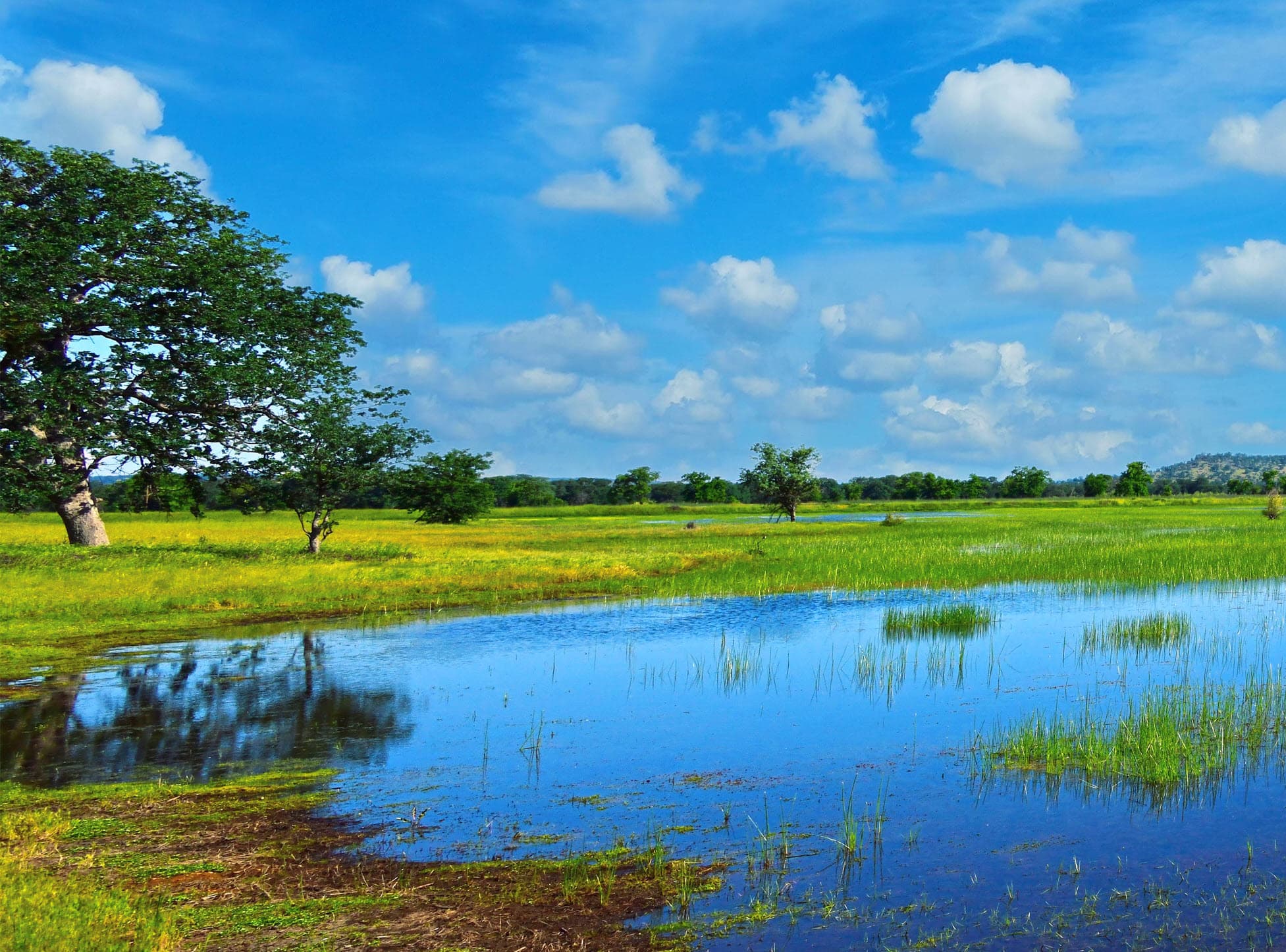 Premier Environmental Consulting Firm Joins with Organizational Platform Leader