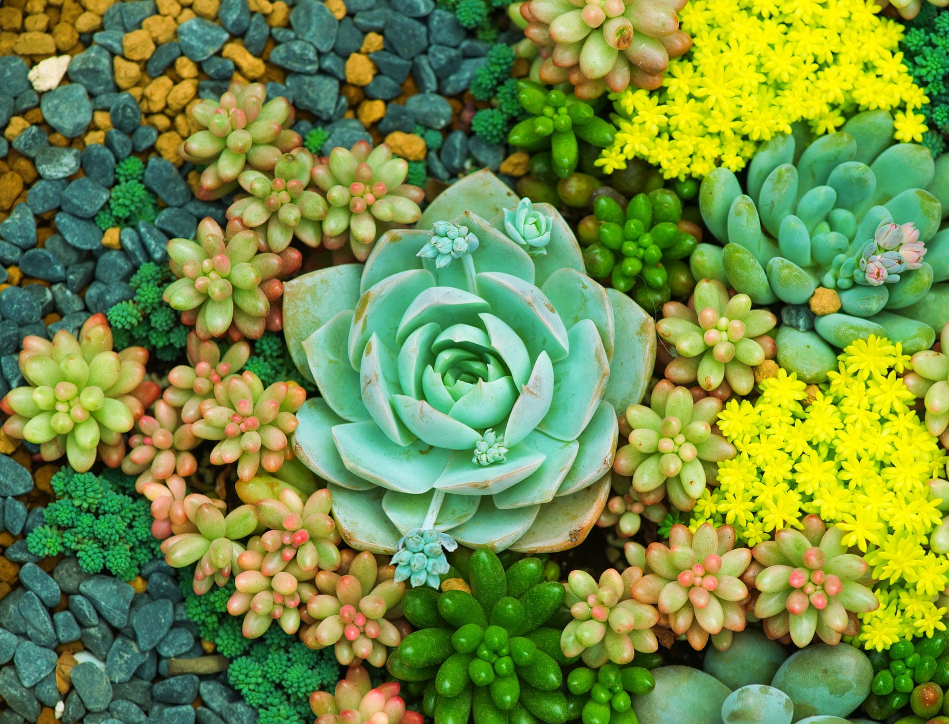 Esteemed Commercial Landscaping Company Acquired by Equity Partnership
