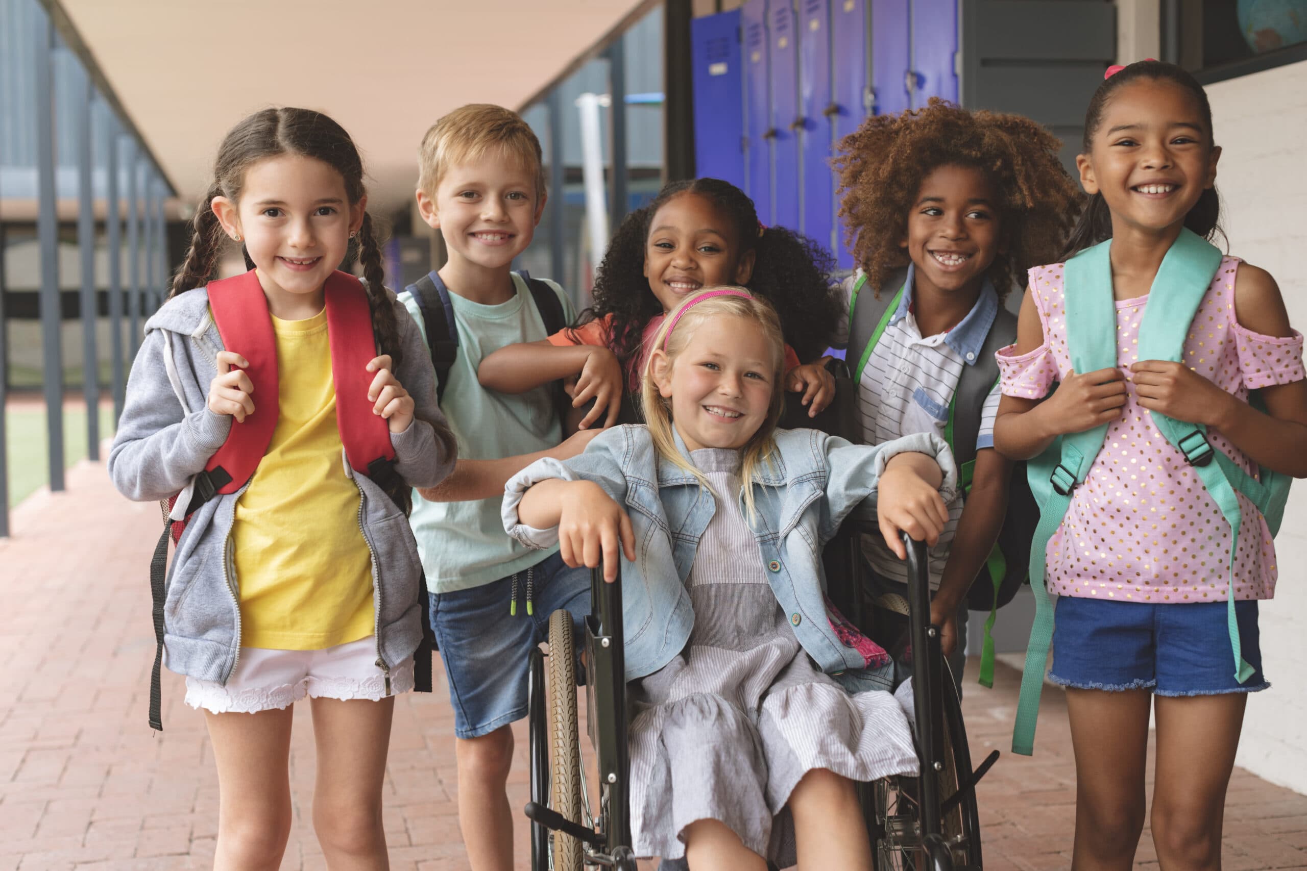 Complimentary Section 504 Webinar
