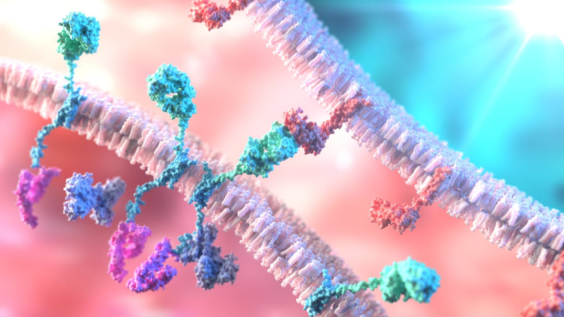 Is Your Life Sciences Patent Enabled? The U.S. Supreme Court Is Considering That Question