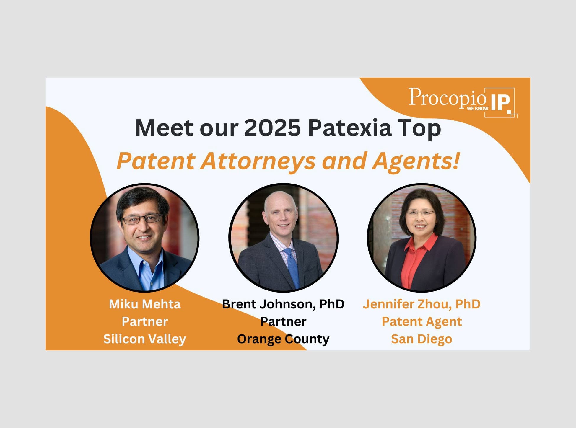 Procopio’s IP Practice and 4 Partners Named to 2025 IAM Patent 1000 ...