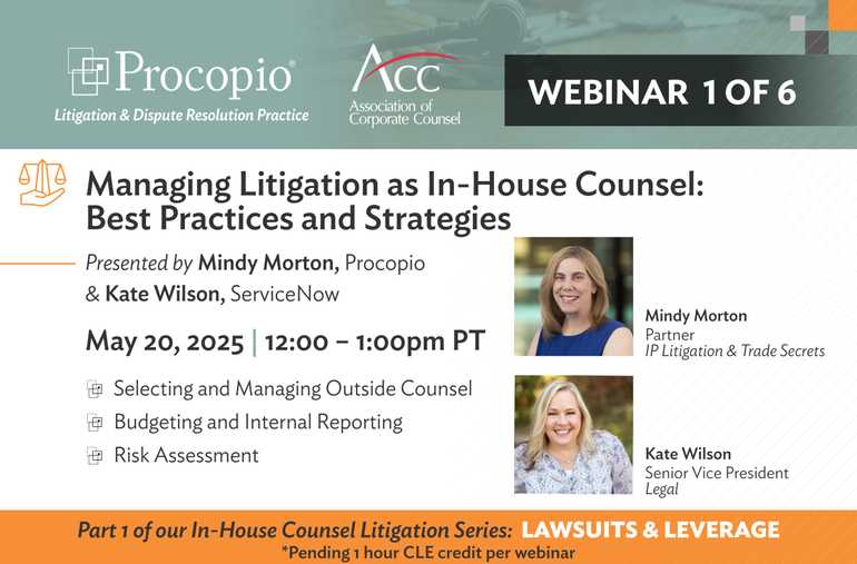 Managing Litigation as an In-House Counsel: Lawsuits and Leverage Series