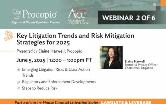 Key Litigation Trends and Risk Mitigation Strategies for 2025: Lawsuits and Leverage Series