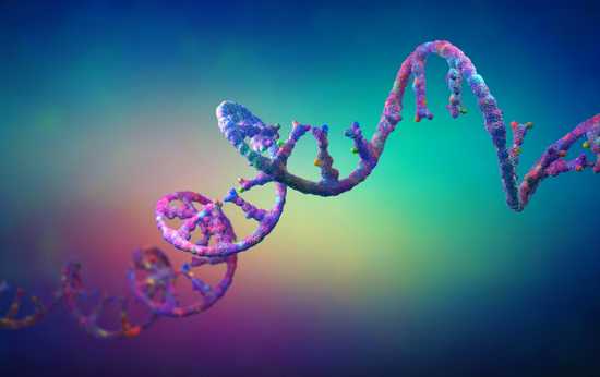 Bioengineering Entrepreneur Earns Biocom Catalyst Award