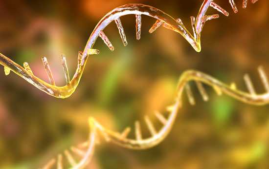 Chinese Biotech Scores Big Win with U.S. Patent Office Judges