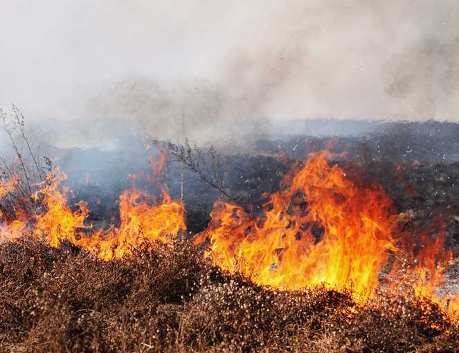 The State Is On Fire: What Should Employers Do About Paying Employees?