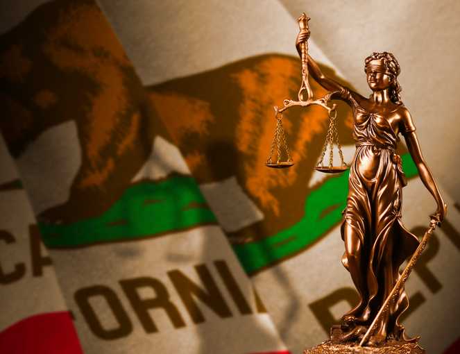 PAGA Reform Deal Announced by Governor Newsom: Placebo or Panacea?